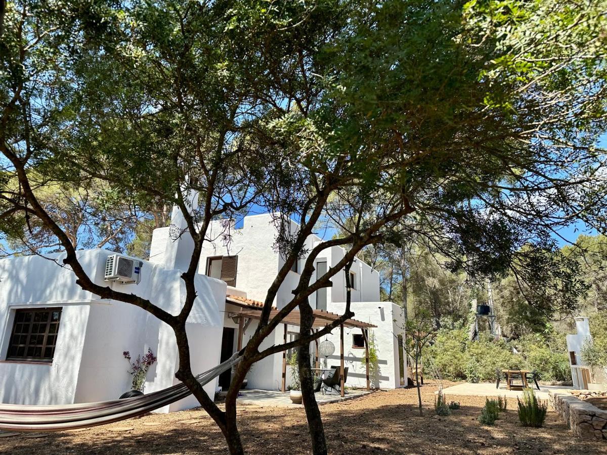 Spacious & Luxury Villa In Ibiza - Santa Gertrudis - Villa Chiquita المظهر الخارجي الصورة